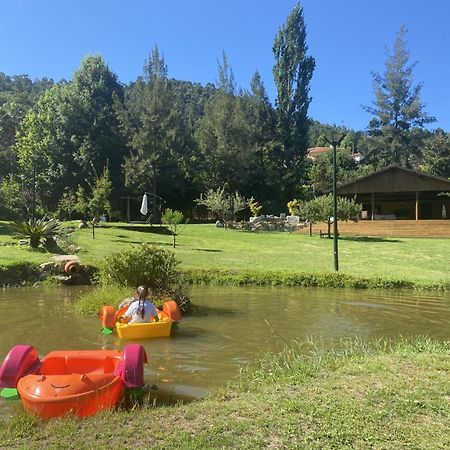 Quinta Da Vinha Do Souto Villa Arouca Eksteriør bilde