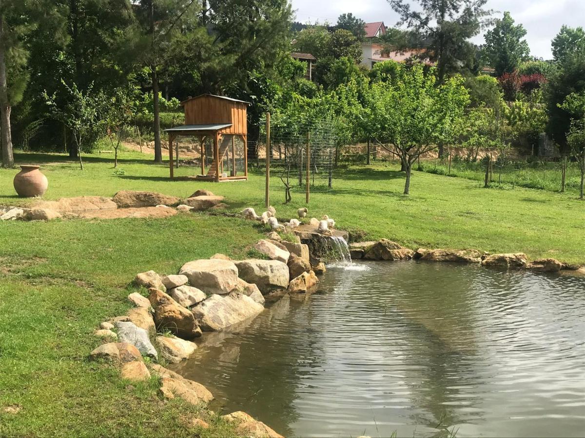 Quinta Da Vinha Do Souto Villa Arouca Eksteriør bilde