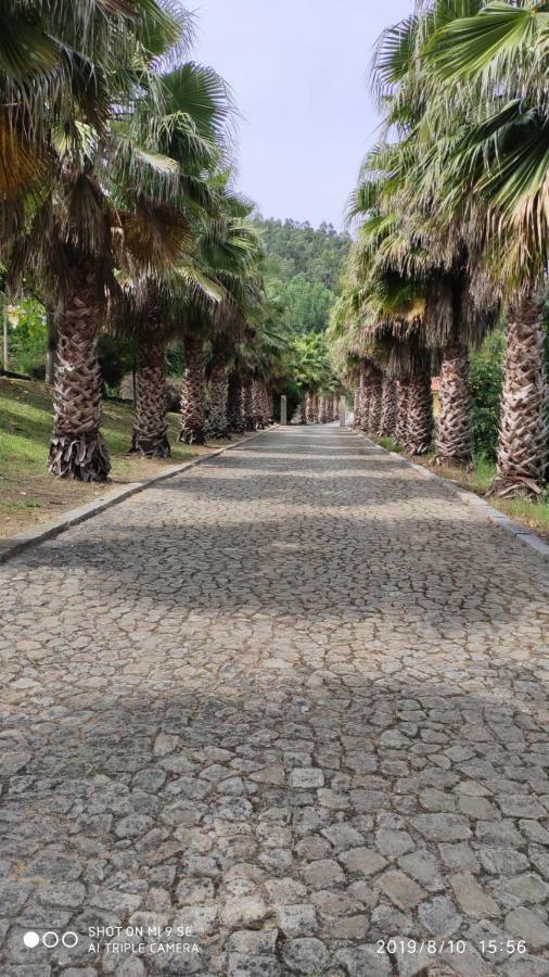 Quinta Da Vinha Do Souto Villa Arouca Eksteriør bilde