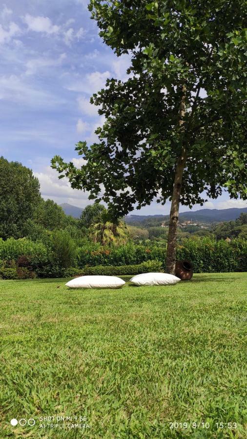 Quinta Da Vinha Do Souto Villa Arouca Eksteriør bilde